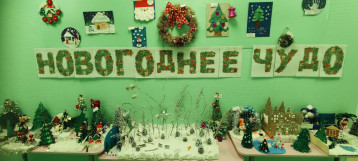 Новогоднее чудо!!! Новогоднее чудо!!!.